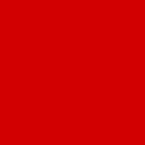 ral_3024